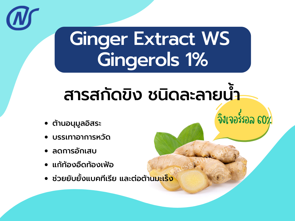 Ginger Extract WS Gingerols 1%